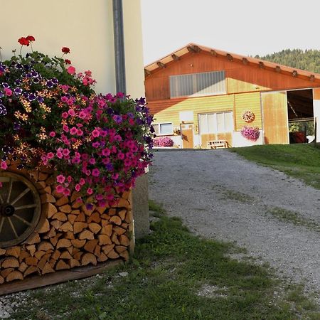 Ferienwohnung Stapflhof Bad Aussee Exterior foto